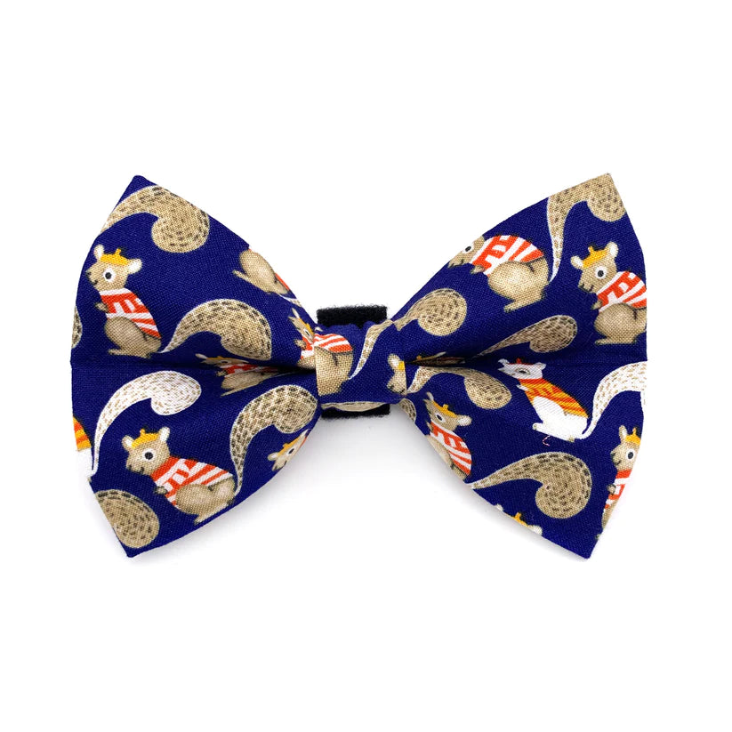 Squirrel Dog Bow Tie